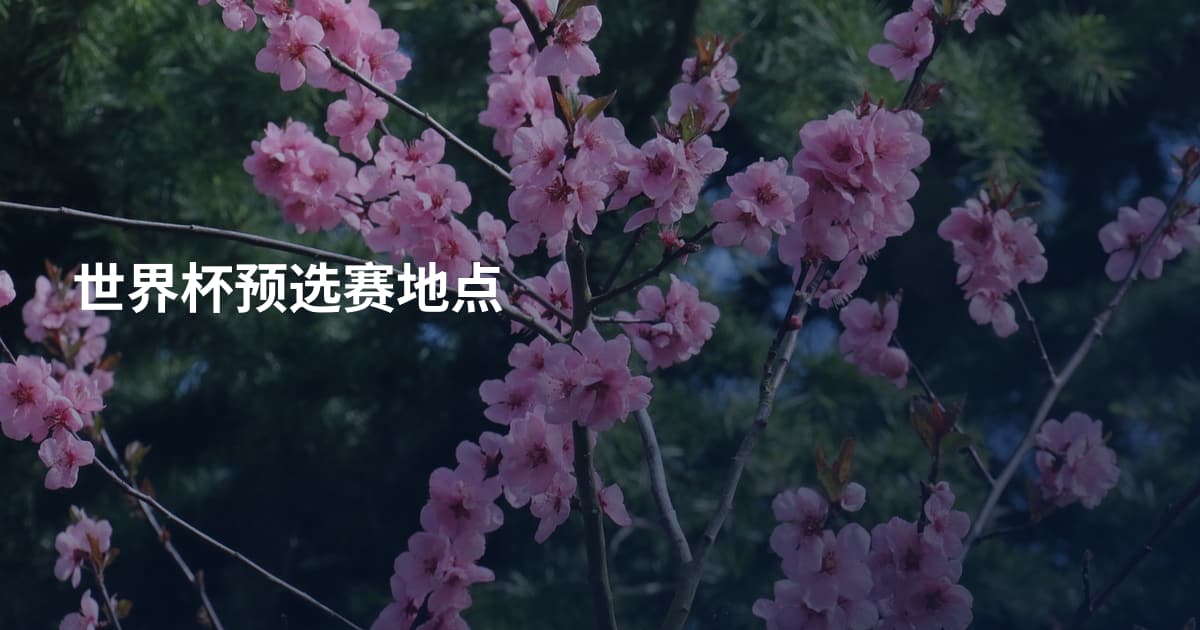 世界杯预选赛地点