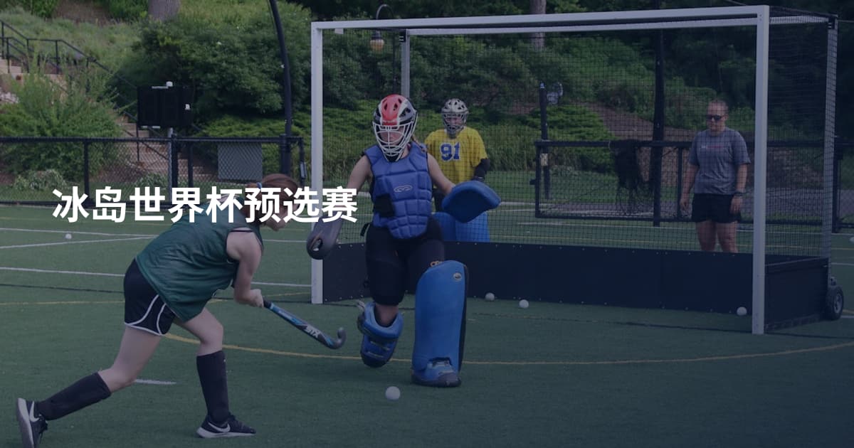 冰岛世界杯预选赛