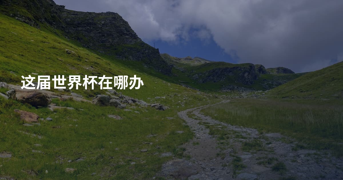 这届世界杯在哪办