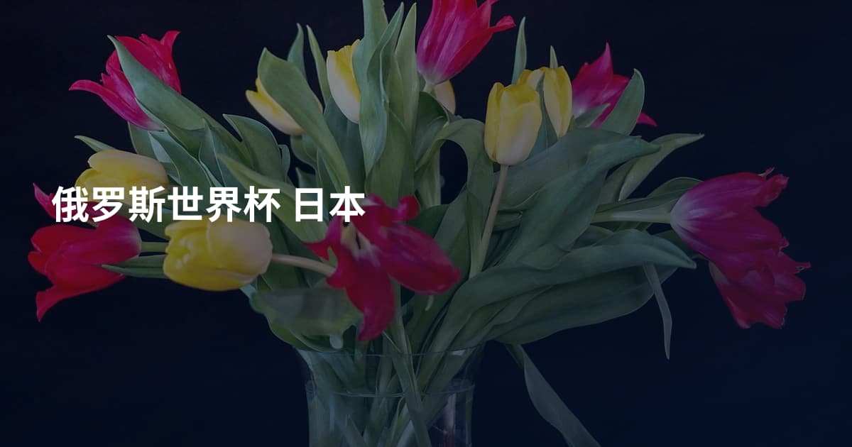 俄罗斯世界杯 日本
