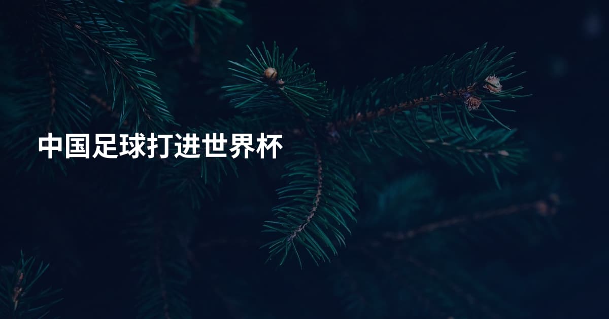 中国足球打进世界杯