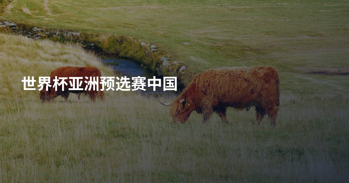 世界杯亚洲预选赛中国