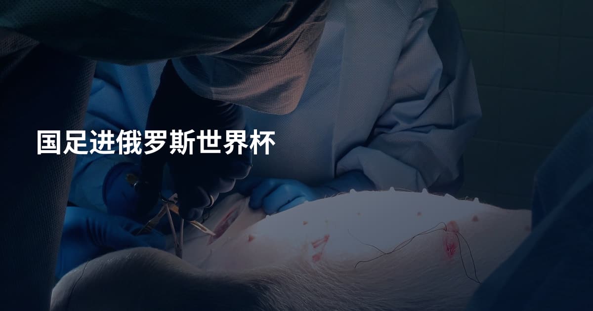 国足进俄罗斯世界杯