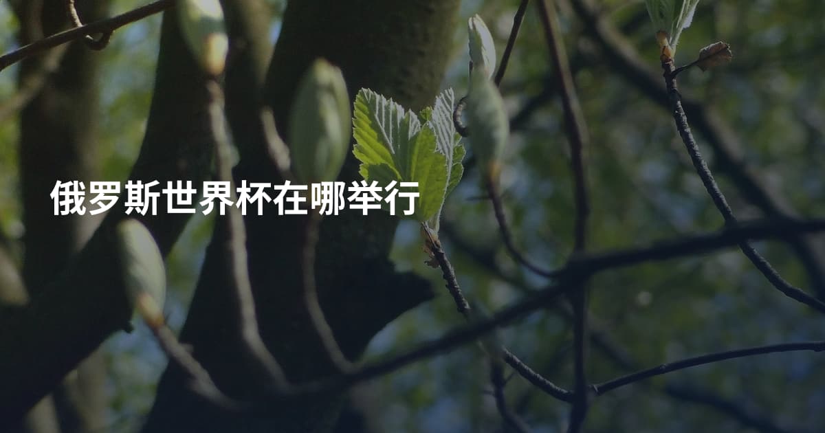 俄罗斯世界杯在哪举行