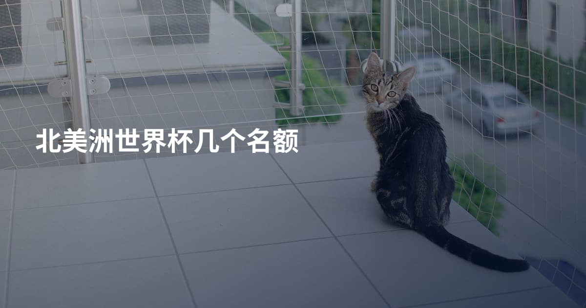 北美洲世界杯几个名额