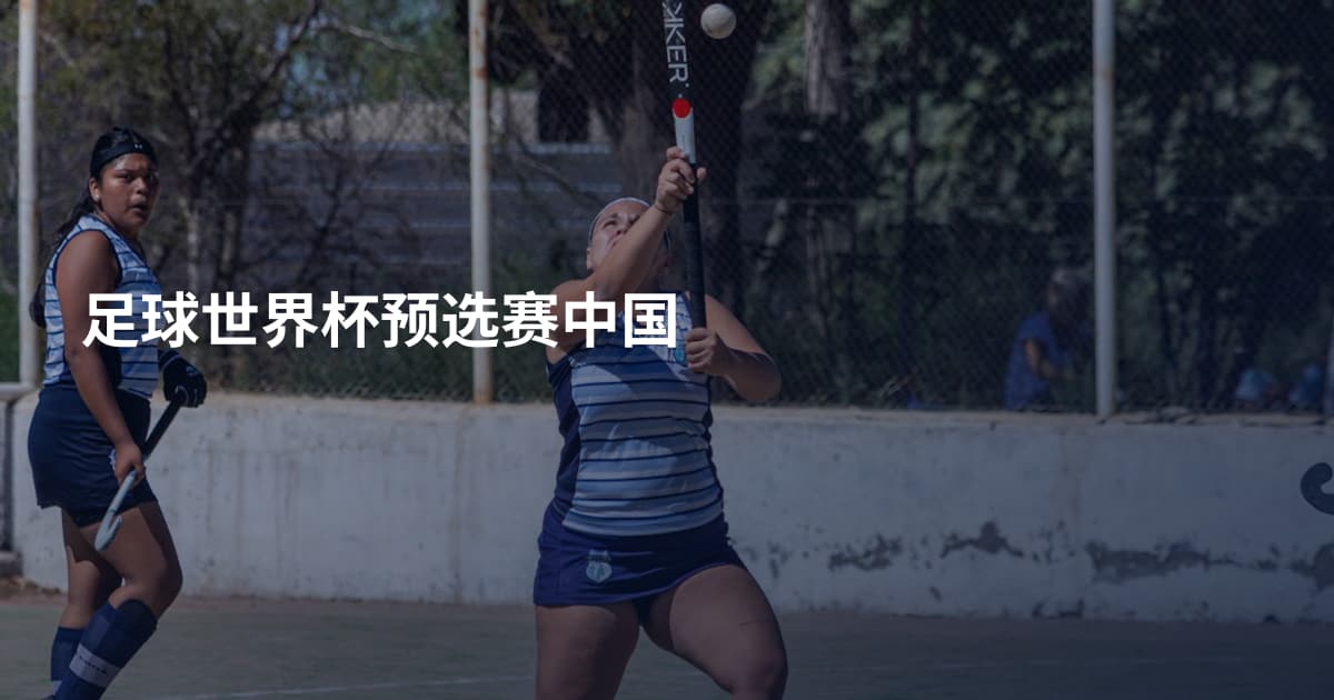 足球世界杯预选赛中国