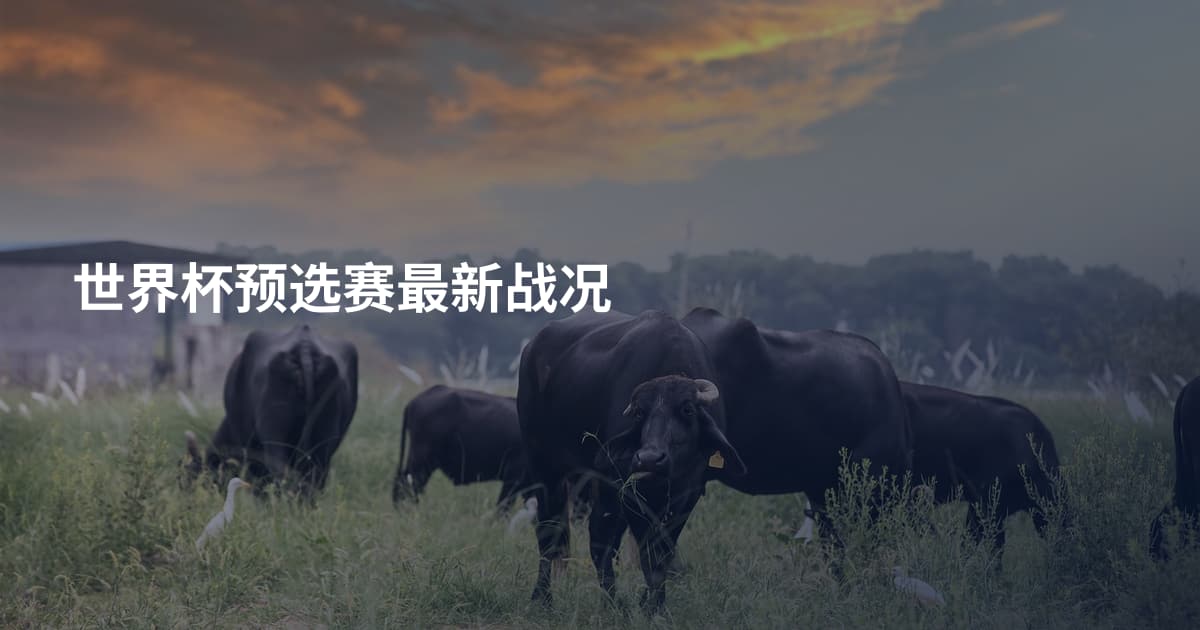 世界杯预选赛最新战况