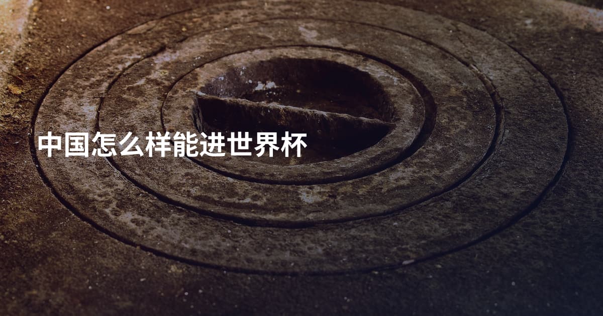 中国怎么样能进世界杯
