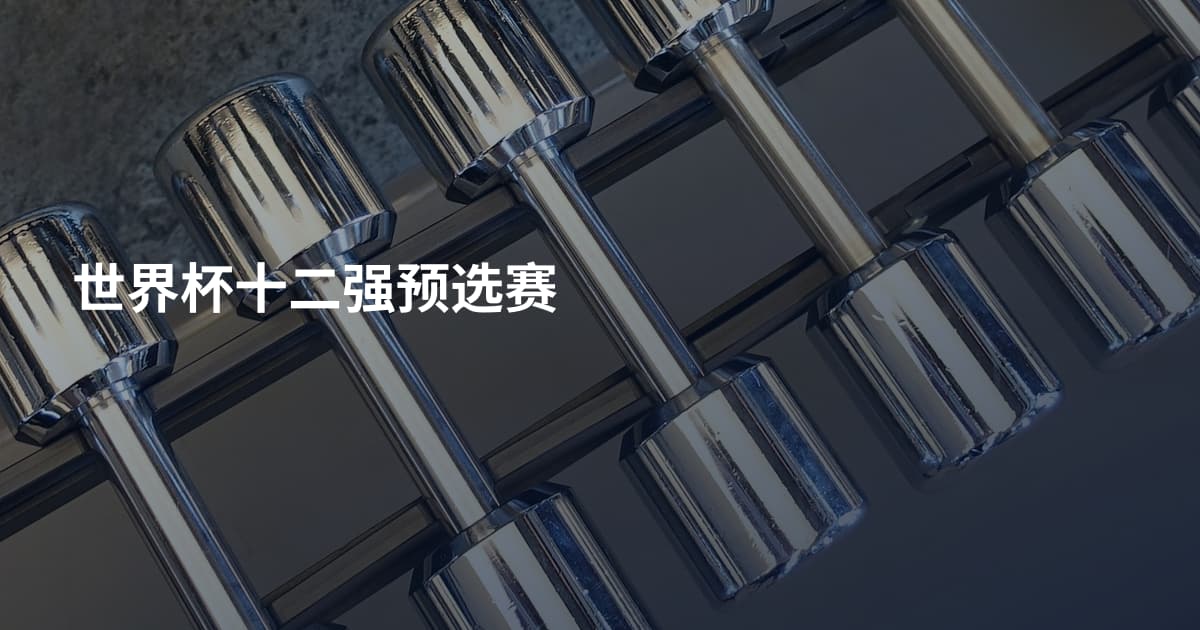世界杯十二强预选赛