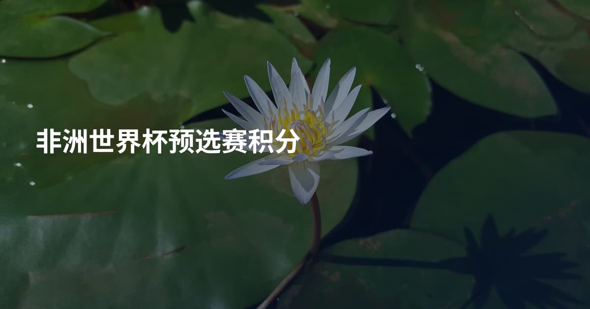 非洲世界杯预选赛积分