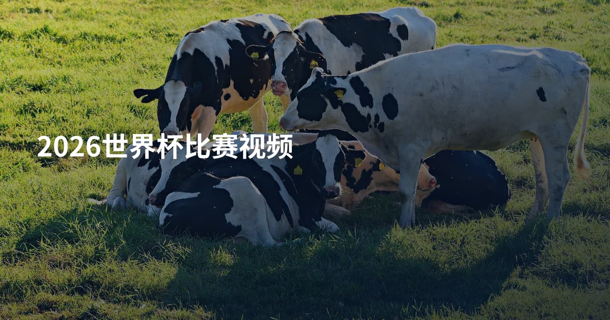 2026世界杯比赛视频