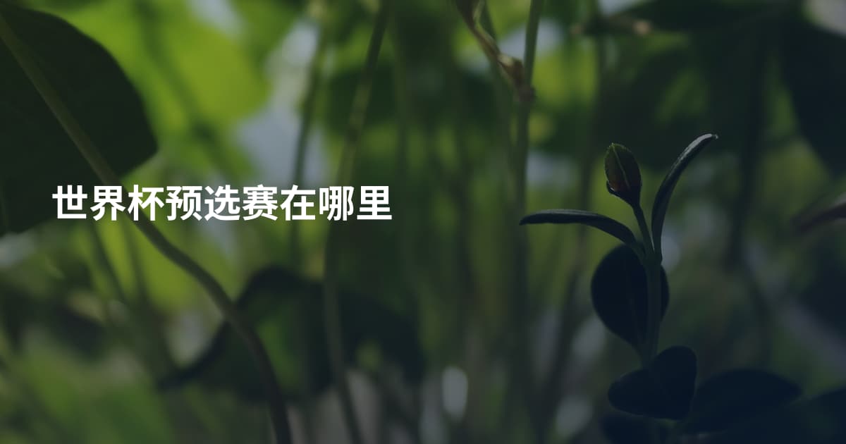 世界杯预选赛在哪里