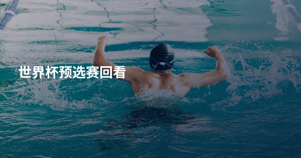世界杯预选赛回看