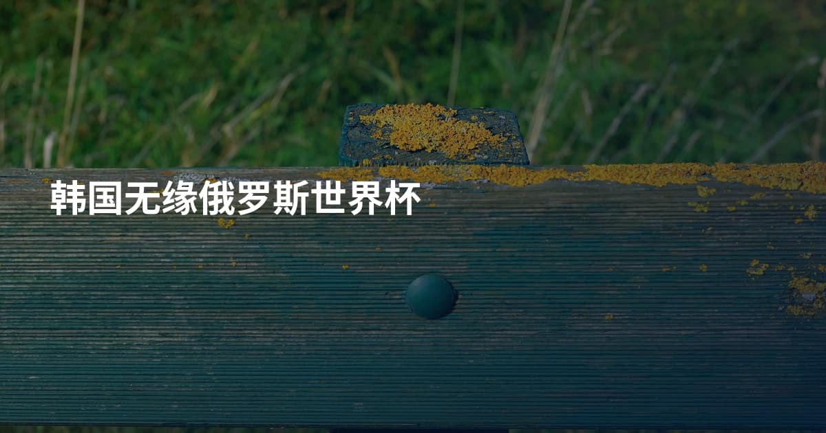 韩国无缘俄罗斯世界杯