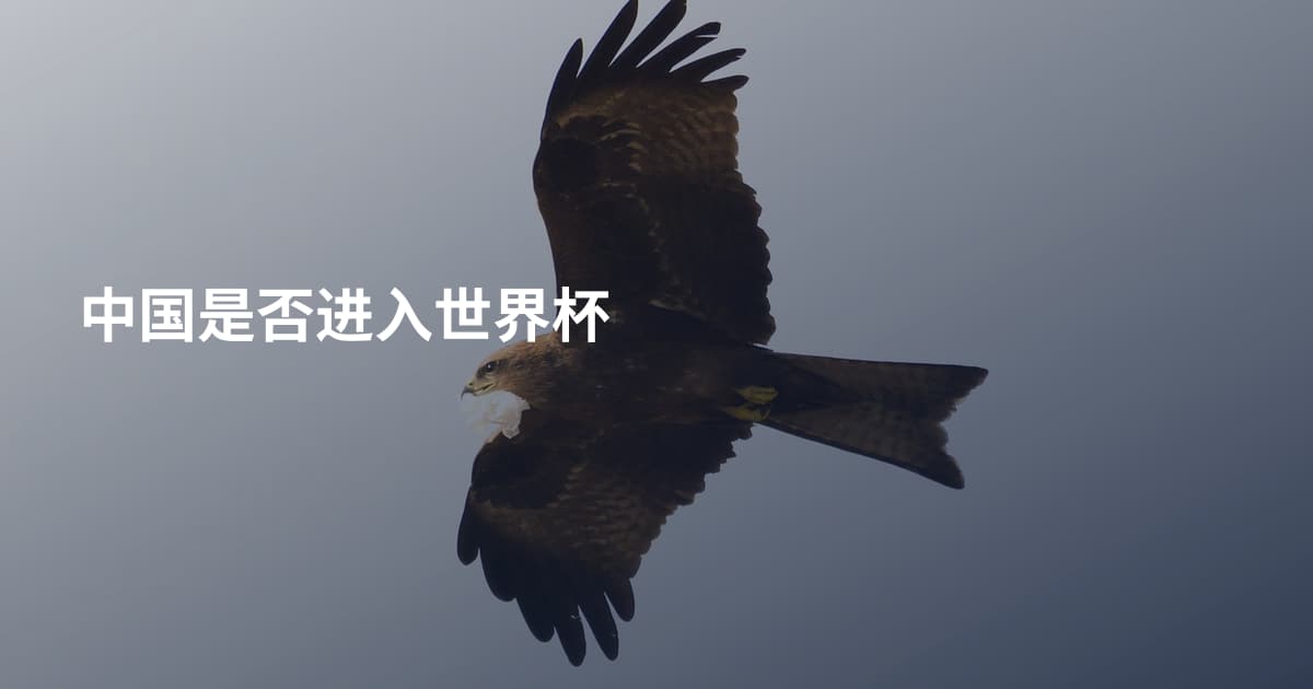 中国是否进入世界杯