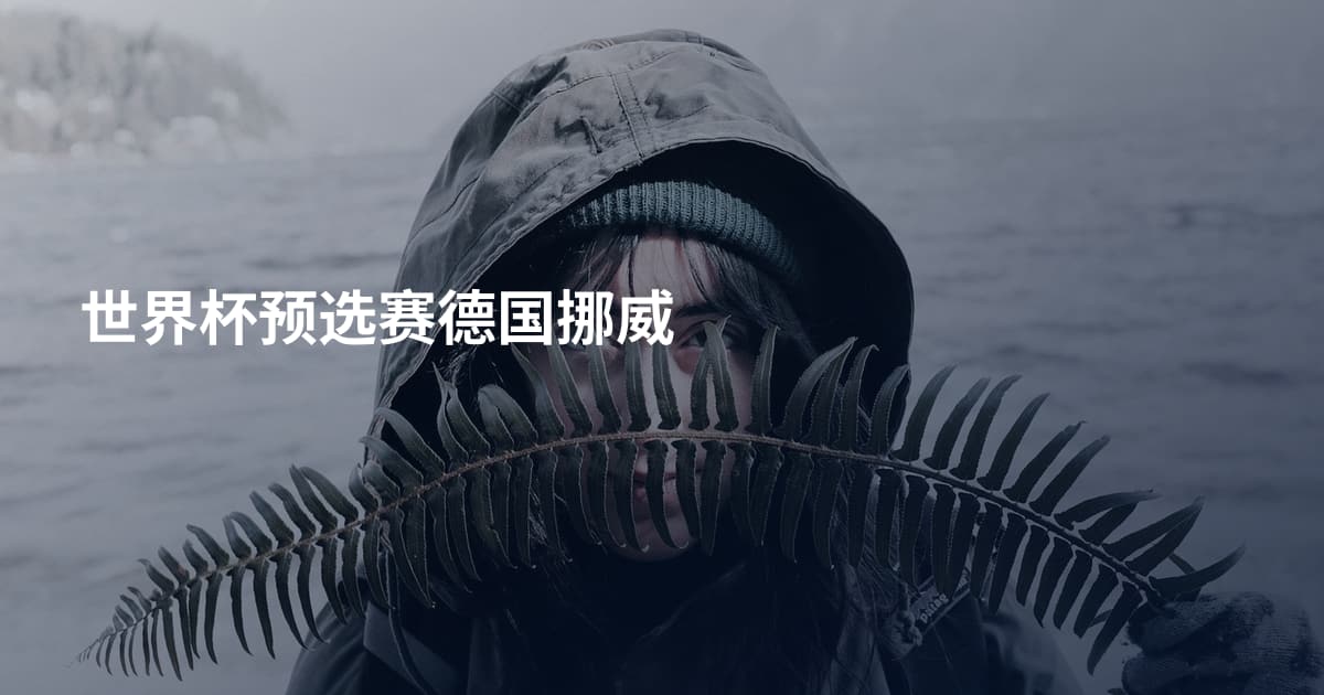 世界杯预选赛德国挪威