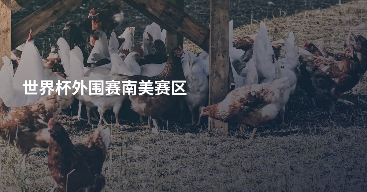 世界杯外围赛南美赛区