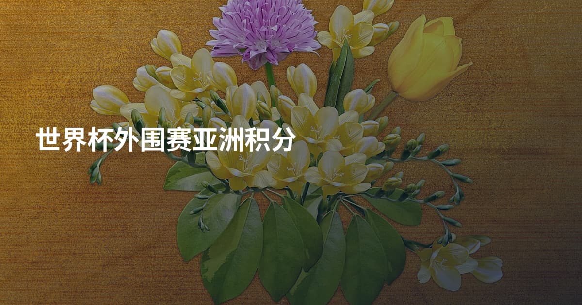 世界杯外围赛亚洲积分