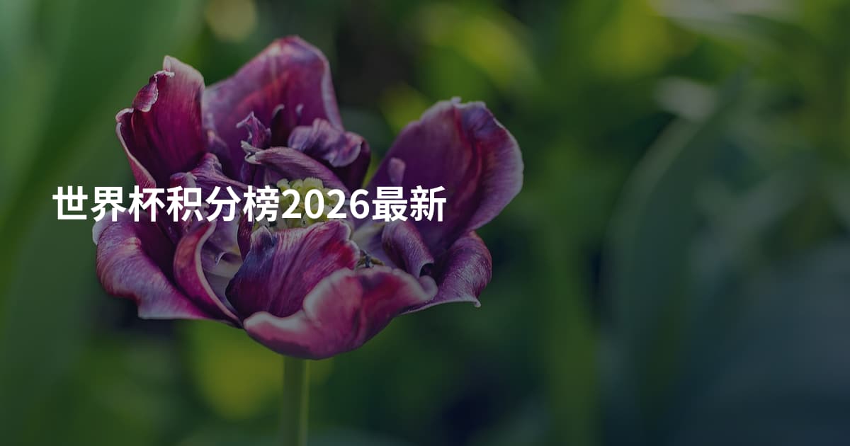 世界杯积分榜2026最新
