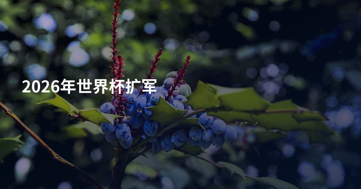 2026年世界杯扩军