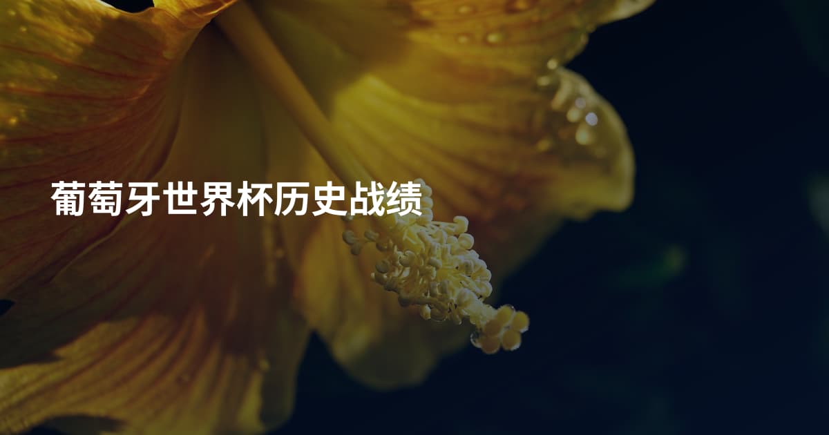 葡萄牙世界杯历史战绩
