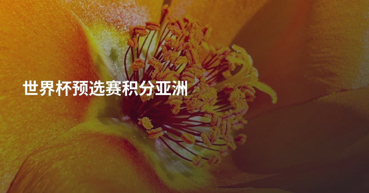 世界杯预选赛积分亚洲