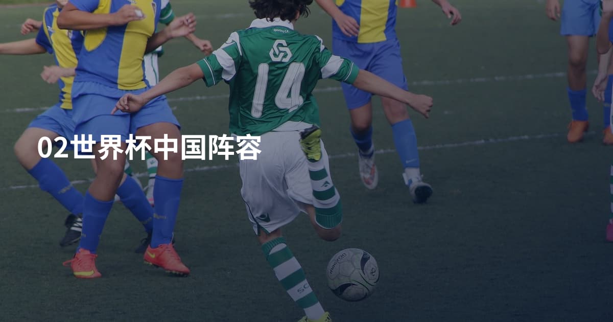 02世界杯中国阵容