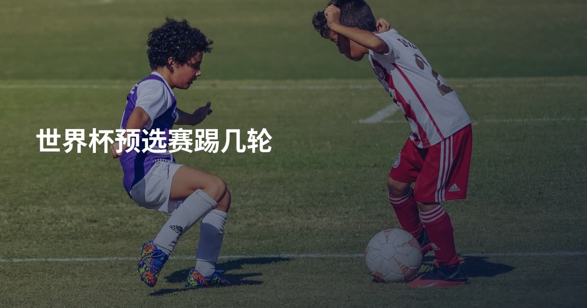 世界杯预选赛踢几轮