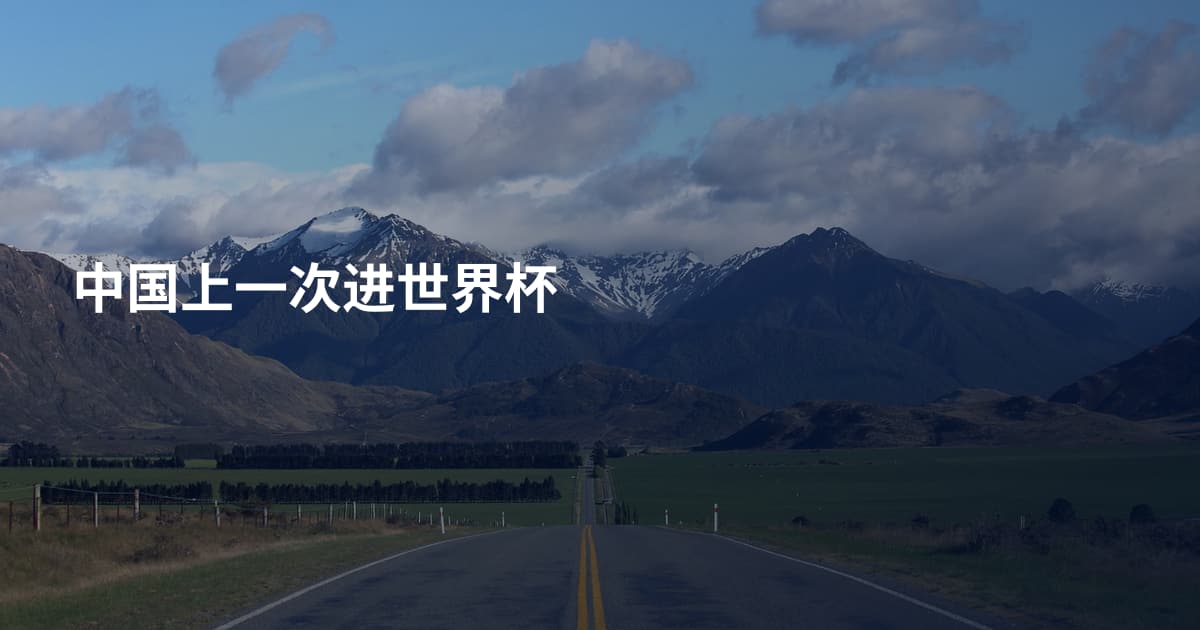 中国上一次进世界杯