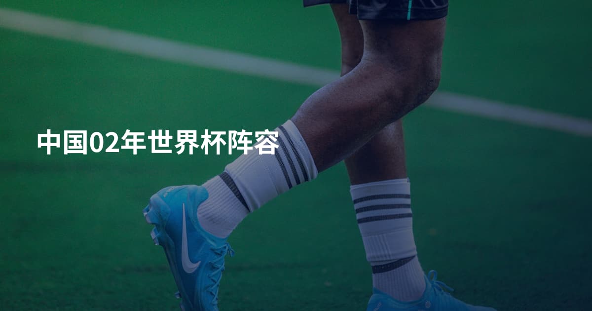 中国02年世界杯阵容