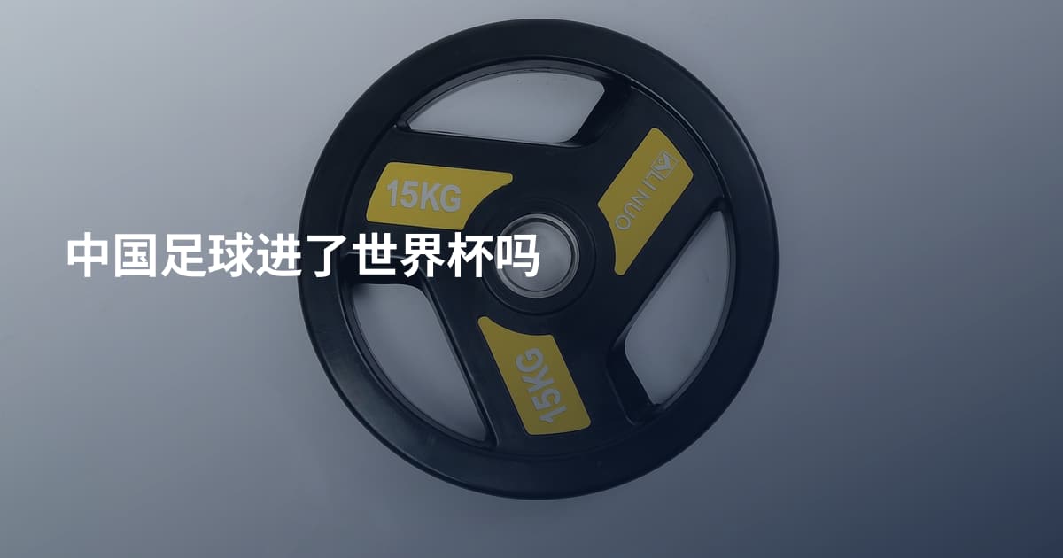 中国足球进了世界杯吗