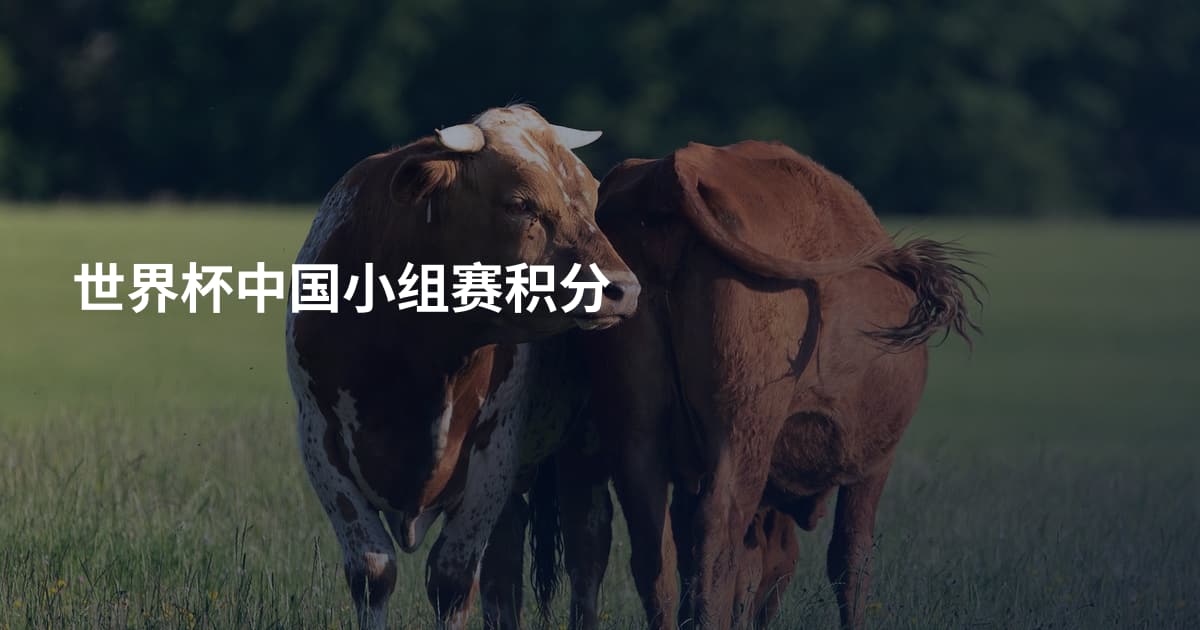 世界杯中国小组赛积分