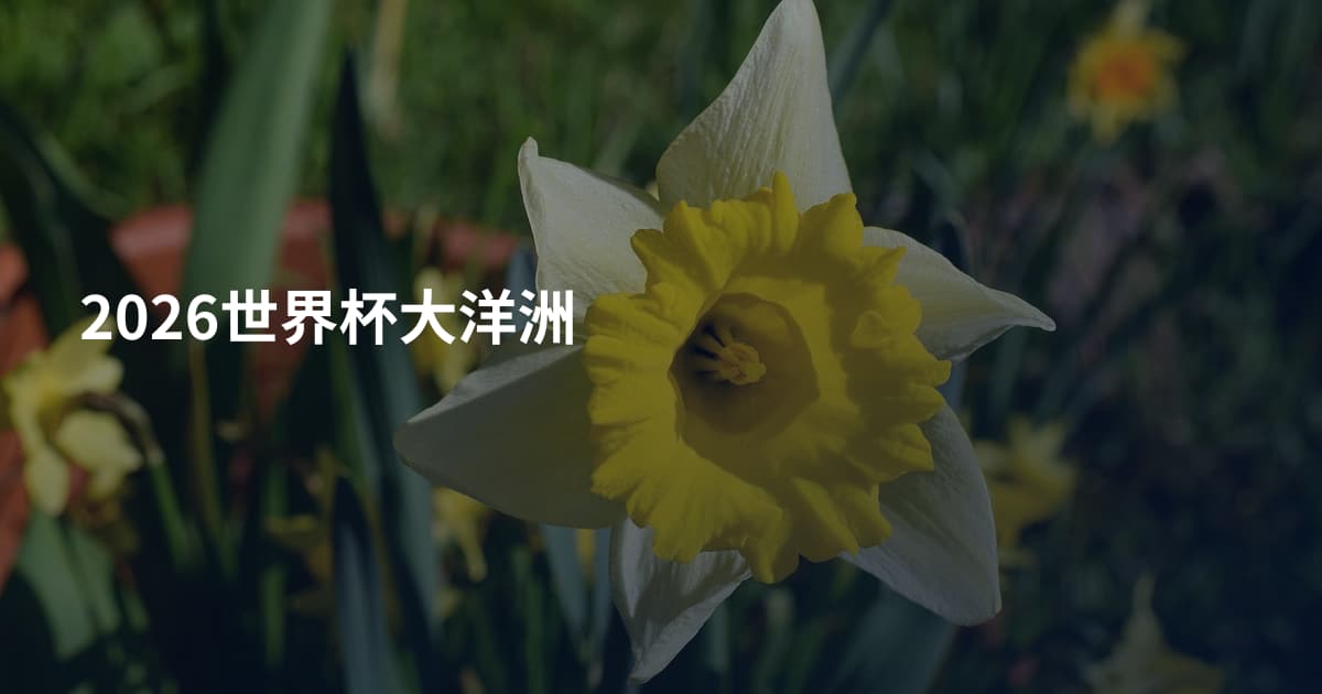 2026世界杯大洋洲