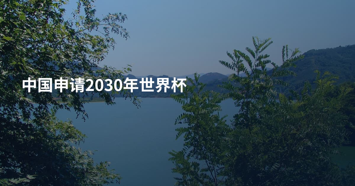 中国申请2030年世界杯