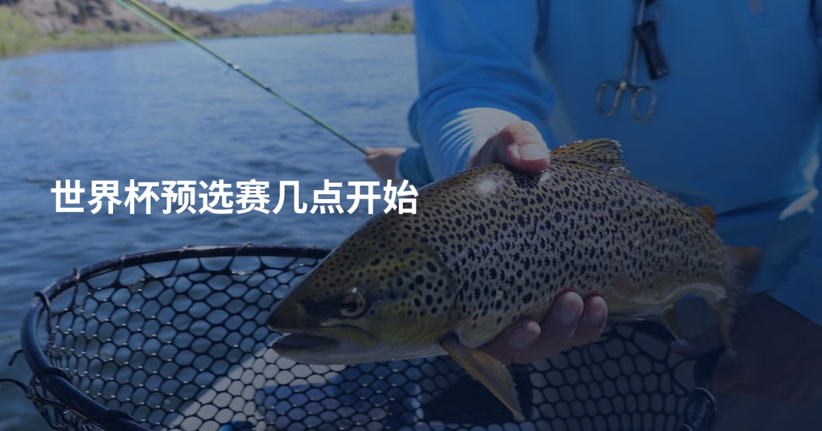 世界杯预选赛几点开始
