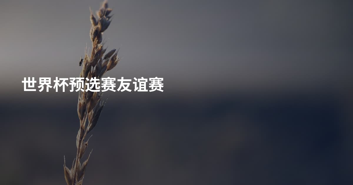 世界杯预选赛友谊赛