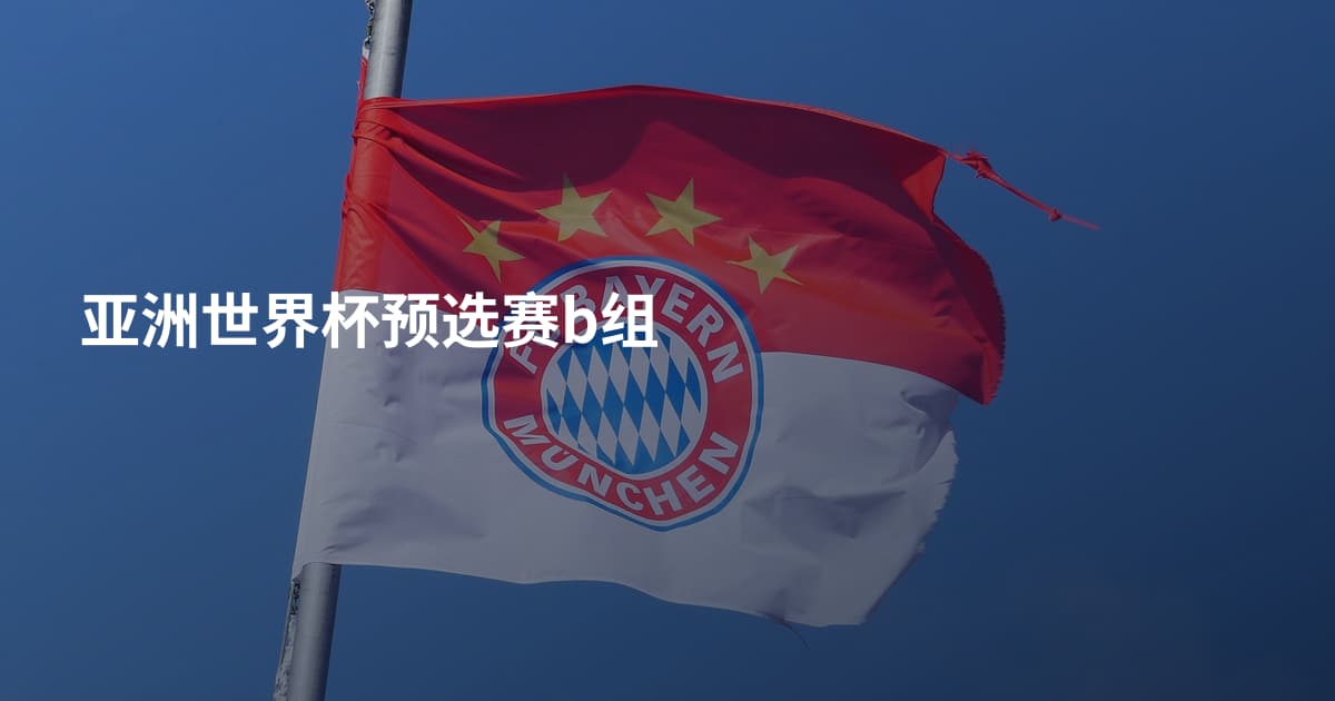 亚洲世界杯预选赛b组