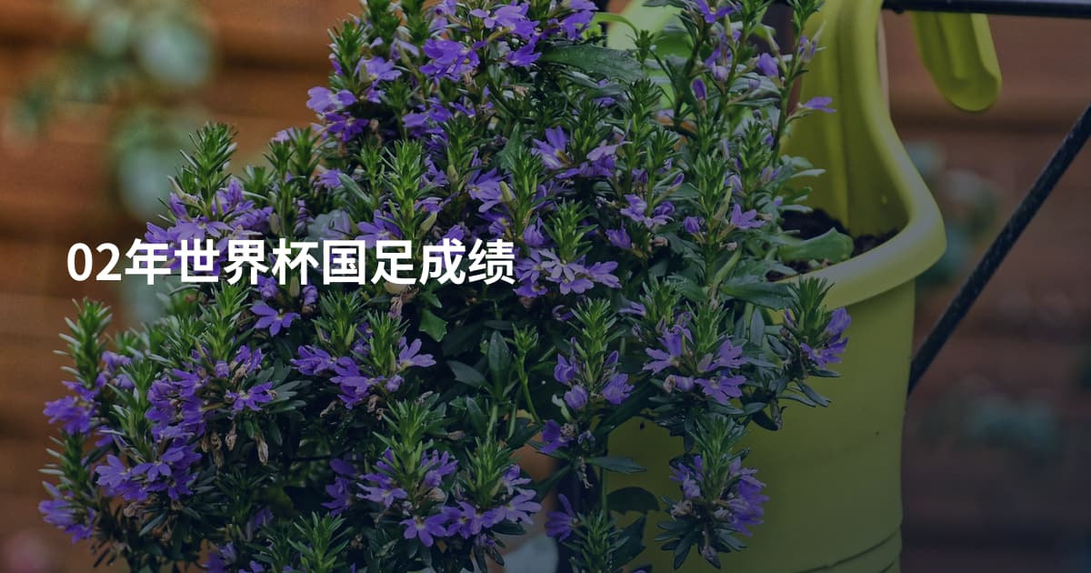 02年世界杯国足成绩