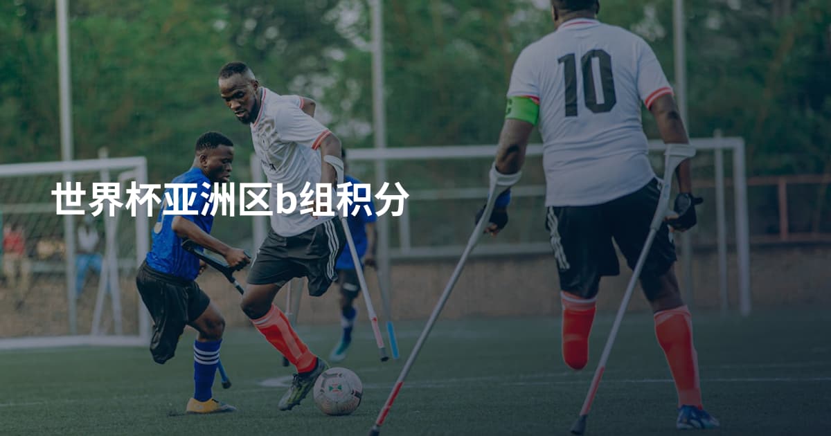 世界杯亚洲区b组积分