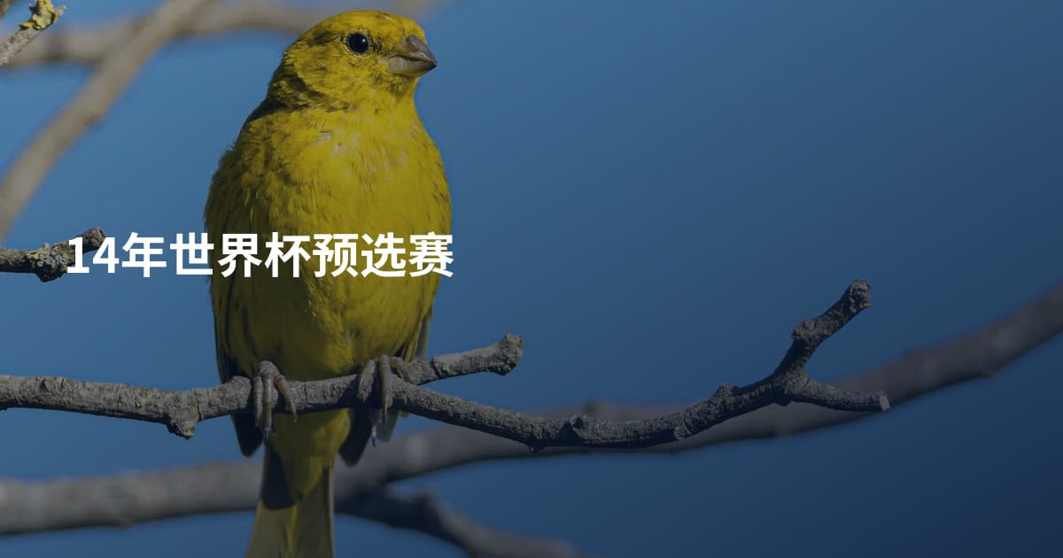 14年世界杯预选赛