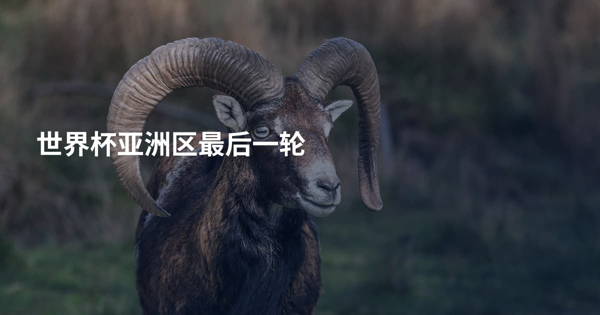世界杯亚洲区最后一轮