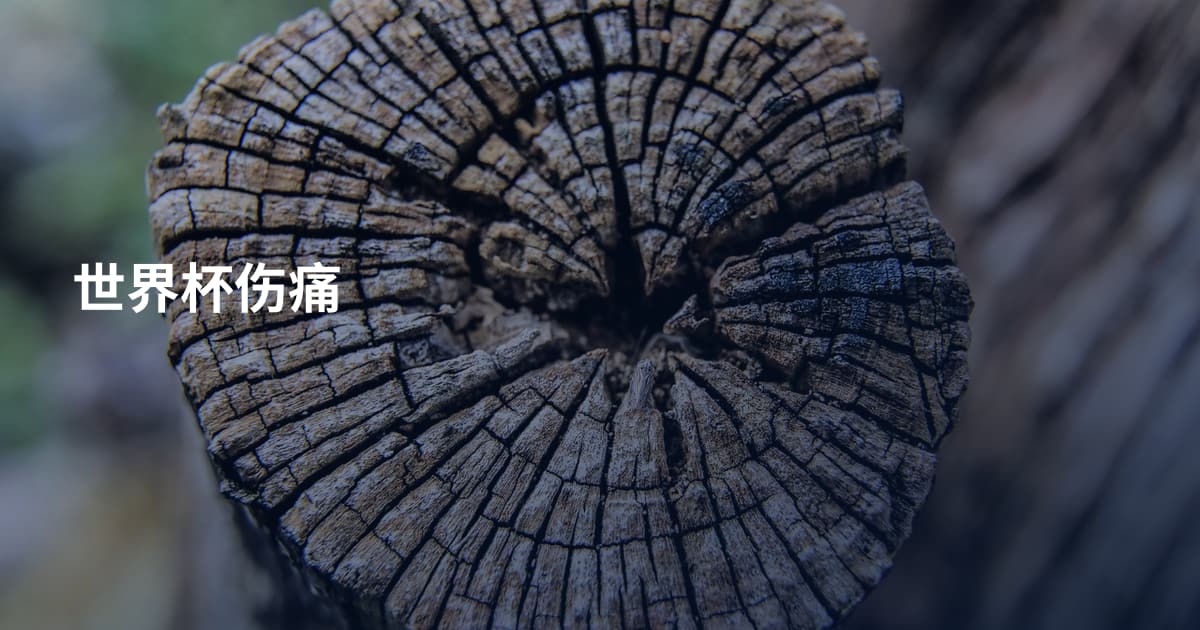 世界杯伤痛