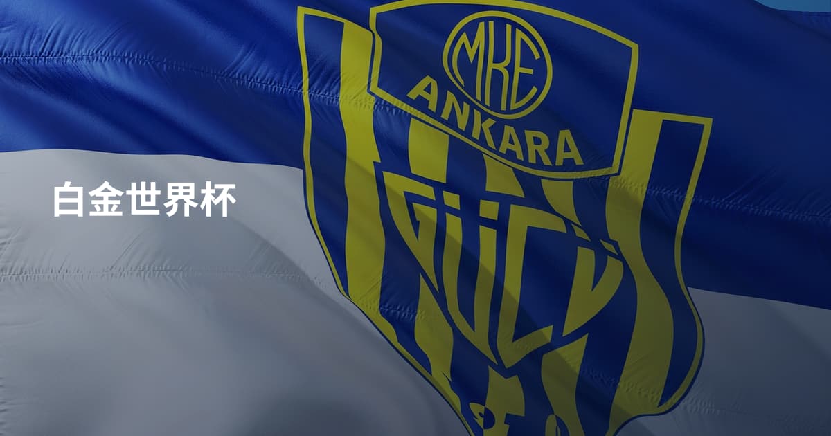白金世界杯