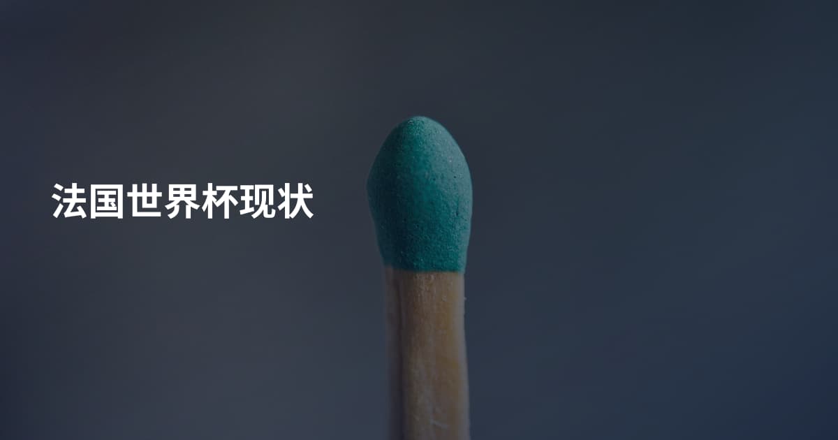 法国世界杯现状