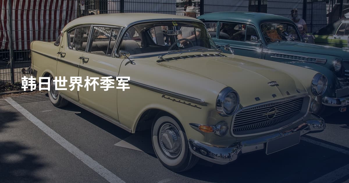 韩日世界杯季军