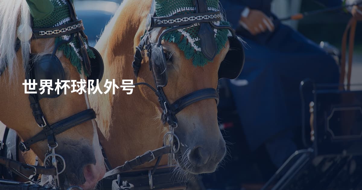 世界杯球队外号