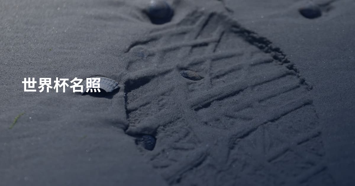 世界杯名照
