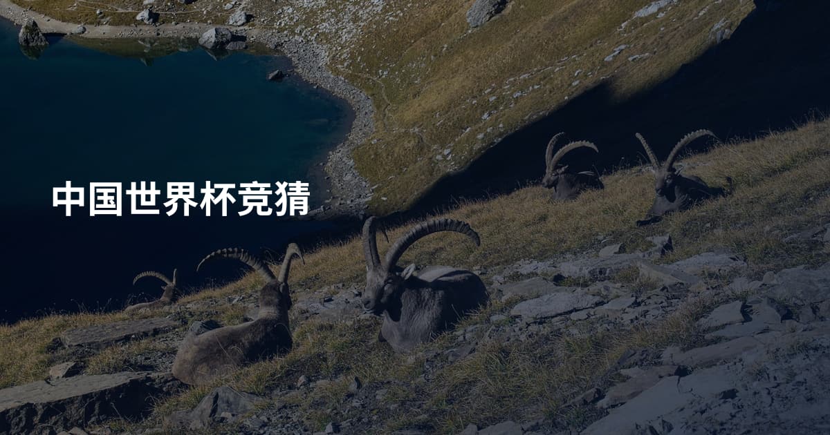 中国世界杯竞猜