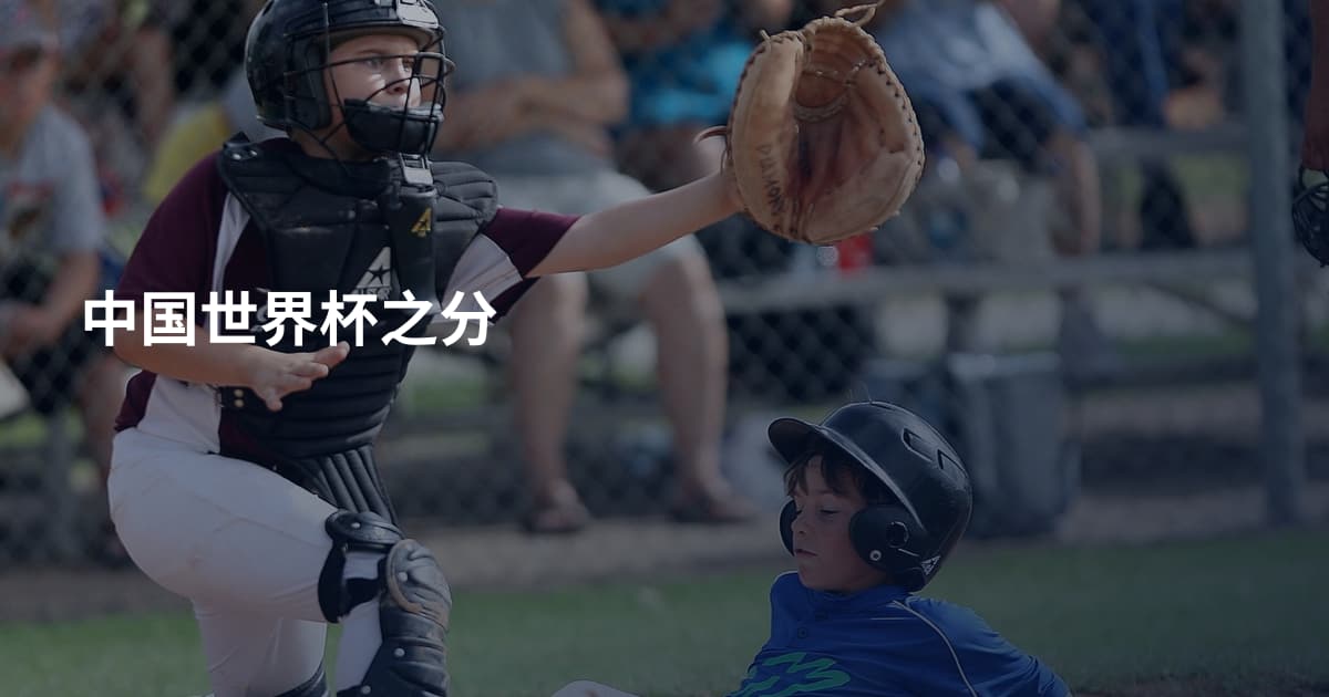 中国世界杯之分