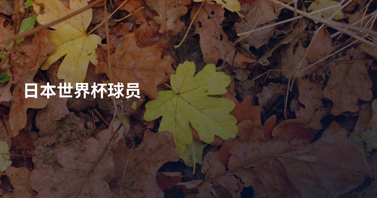 日本世界杯球员